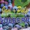 BlueBerry Fruit Jam & Pulp
