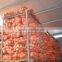 Shandong origin fresh onions for sale