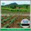 Drip Irrigation System Using Drip Tape Irrigation Manufacturer