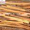 Cinnamon with Competitive price and good price