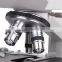 Binocular head microscope with LED light illumination