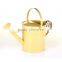 Metal Galvanised Steel Watering Can 9 Litre Garden Water Plants Green Cream Galvinised (Silver)