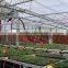 modern designing greenhouse for irrigation system for vegetable grow ,hot sale best price greenhouse from China