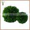 decorative table preserved boxwood ball
