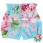 Boutique Infant Toddler Baby Bloomers Wholesale Baby Ruffle Bloomers Floral Bloomers