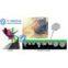 horizontal shot blasting machine
