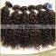 Virgin indian hair extensions wholesale company vendors