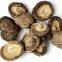 Dried shiitake mushroom