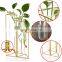 Hydroponics Clear Planter Nordic Style Test Tube Vase with Metal Stand