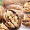 Vietnam Walnuts/High Quality Dried Walnuts For Wholesales From Vietnam