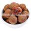 Litchi fruit dried/ Lichi fruit dried good for health and competive price from Viet Nam