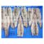 Good quality frozen Illex squid tube with wing skin on
