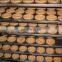 Automatic biscuit machine/biscuit cookie making machine/biscuit making machine for sale