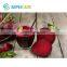 Sepchare high quality natural colouring red beet root powder