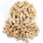 High Quality Snack Foods Dubai Wholesale Canned Roasted & Salted Peanut
