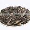 100% Raw sunflower seeds 361 for sale New crop common sunflower seeds Export sunflower seeds