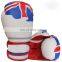 Custom printed flags boxing gloves OEM MMA Boxing Gloves