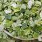 Organic freeze dried leek