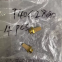 T40C2800, Norgren, Schalld?mpfer mit G1/4'-Gewinde