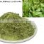 First Quality Mulberry Leaf Powder For OEM Manufacturer