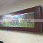 Wall Hanging Aquarium Fish Tank