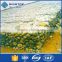 Hot sale 1/4" hexagonal chicken wire mes made in China