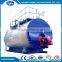 China Boiler Natural Circulation Oil Gas Boiler