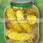 Fresh pickled cornichons 3-5 cm in 370ml glass jar