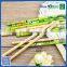 2016 new style promotion high quality dipped wood HB pencil for school kids