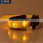 Beautiful Cute Waterproof Led Dog Collar
