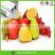 Waterproof Advertising Material PP Paper-200g