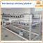 Horizontal large size chicken plucker machine, chicken dehairing machine