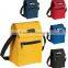 Wholesale non woven picnic insulated food cooler bag