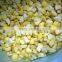 BRC,KOSHER,HALAL frozen fruits