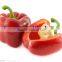 Fresh Bell Chilli