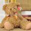 2016 Baby musical bear plush toy for children gift
