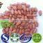 peanut kernels ,BIGGEST PEANUT & PUMPKIN SEEDS FACTORY