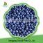 China high quality sweet delicious bulk IQF frozen blueberry prices