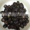wholesale marinated shi-take Chinese cultivate shiitake mushroom cut 50kg drum vacuum shiitake mushroom