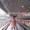 Poultry Farm Cage Used For Feeding Egg Chicken And Broiler Chiken