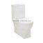 Two piece close coupled ceramic toilet