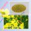 Rapepollen Pure Natural Bee Pollen Unsolved Wall Authentic Protect the Prostate
