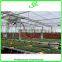 Professional Greenhouse Project commercial hydroponic systems