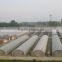 Single-Span Hot-Dip Galvanized Steel Pipe Frame 200mm PVC Film Covered Greenhouse