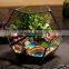 Yiwu direct wholesale,cheap price Cacti Holder Case & Glass Terrarium Diamond