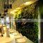 Waterproof excellent green wall factory artificial green plant