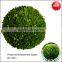 Preserved big boxwood ball topiary