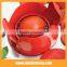 Plastic Onion Tomato Cutter
