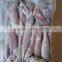 sugar cameroon of illex squid