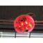 Ultrasonic Detector+Led Indicator(as one unit)